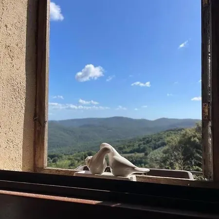 Casa Incantevole In Mezzo Natura * Sassa (Tuscany)